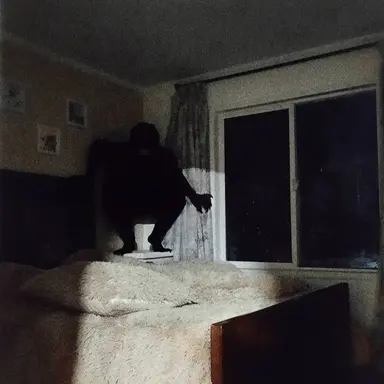 Profile image of ブロウ