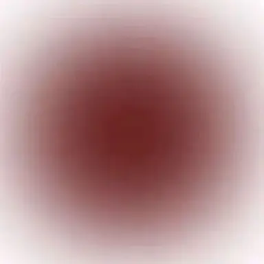 Profile image of 舜太