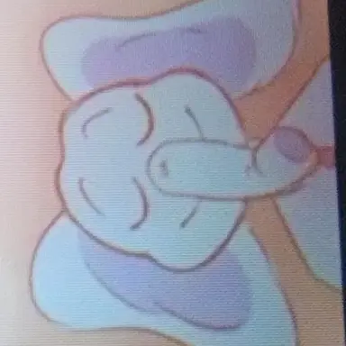 Profile image of Bubbabubbaphant