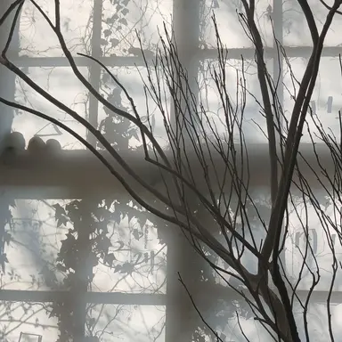 Profile image of 살인자놀이