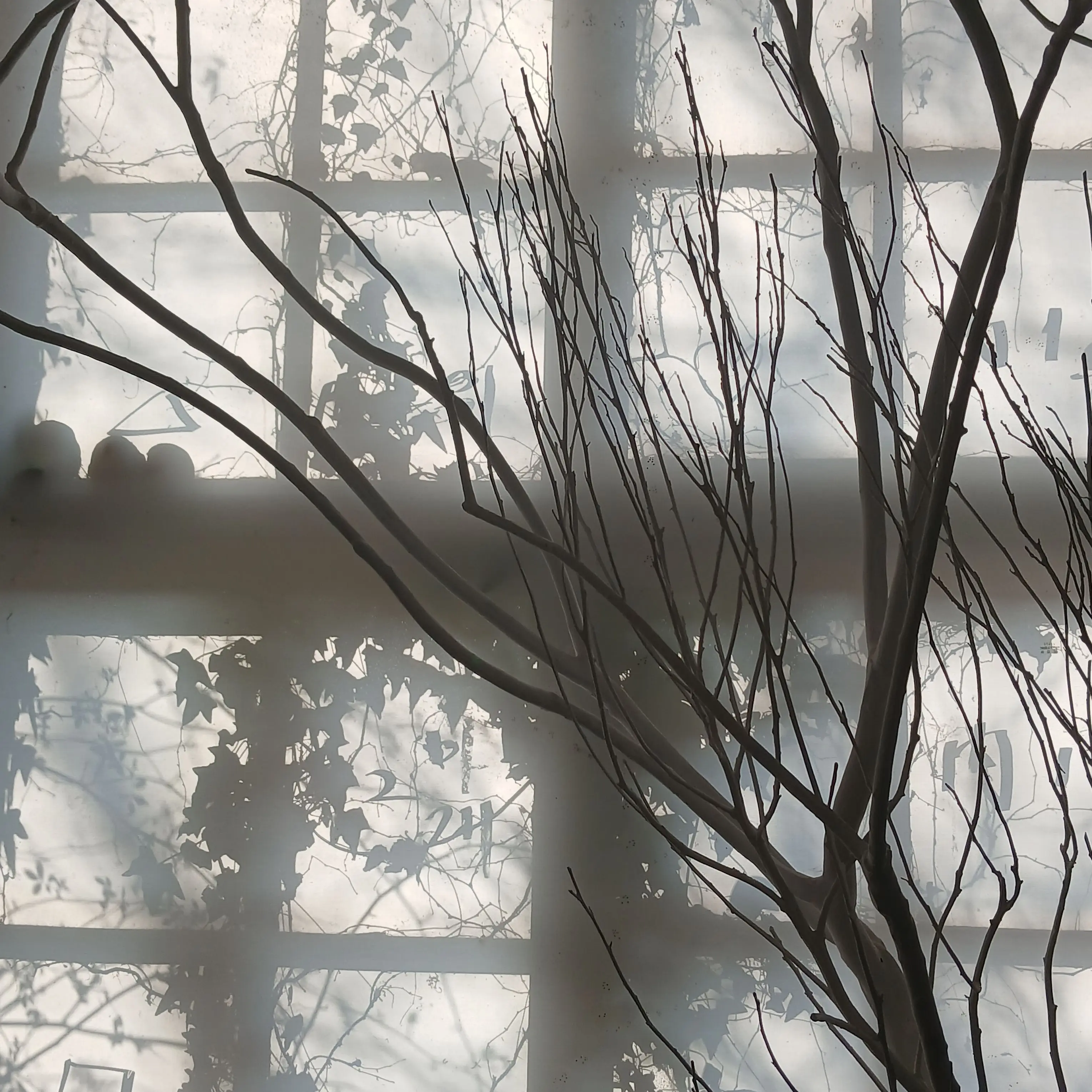 Py_ha의 살인자 놀이🔪