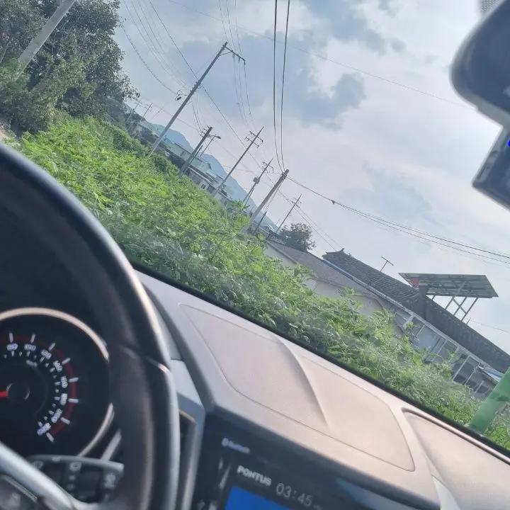 FeebleBasil2308의 뜰팁 scp