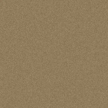 Profile image of 세드릭 디고리