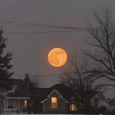 Profile image of Halloween Night