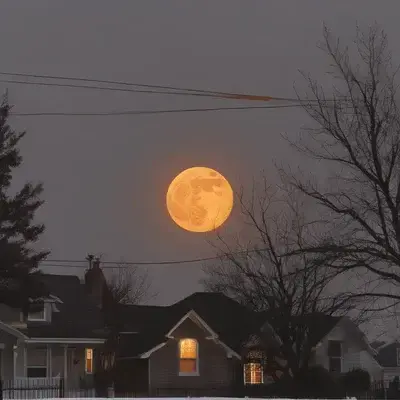 WiseKiwi7851의 Halloween Night