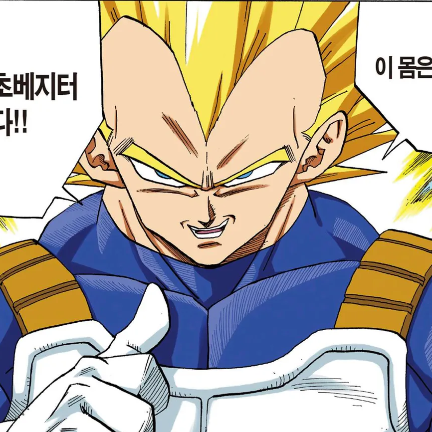 베지터 대표 이미지