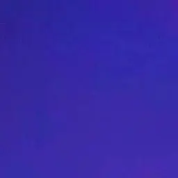 Profile image of レイシオ