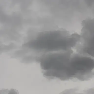 Profile image of 淀川真澄