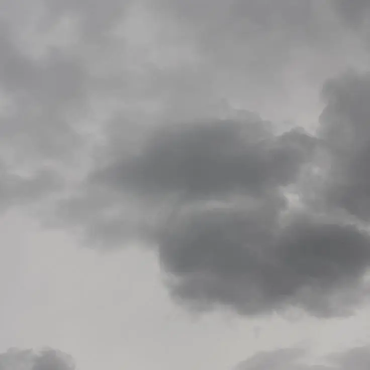 BossyQuoll3764의 桃源暗鬼