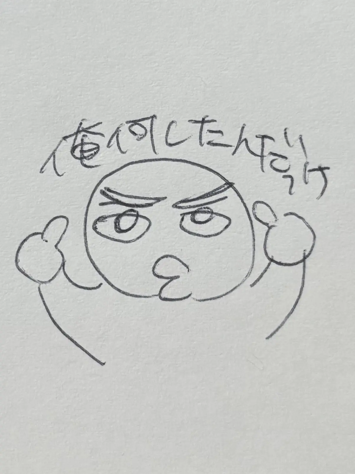 sho9mo2의 仮