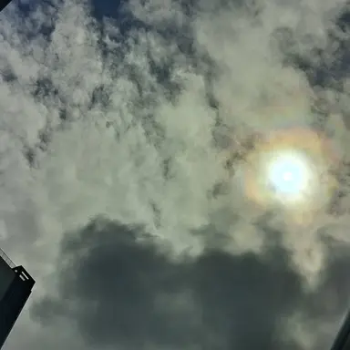 Profile image of 조서인