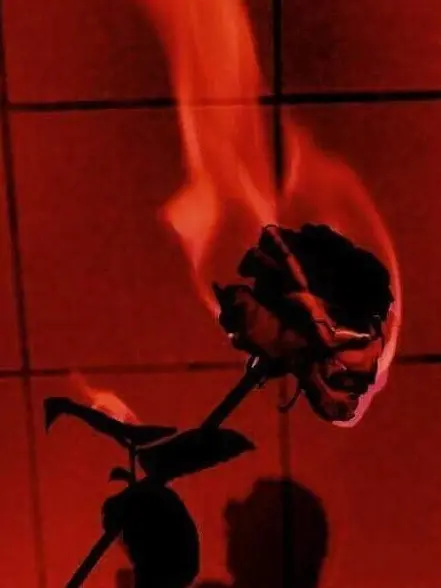 sikabane의 ➼女王様は告らせたい❤︎