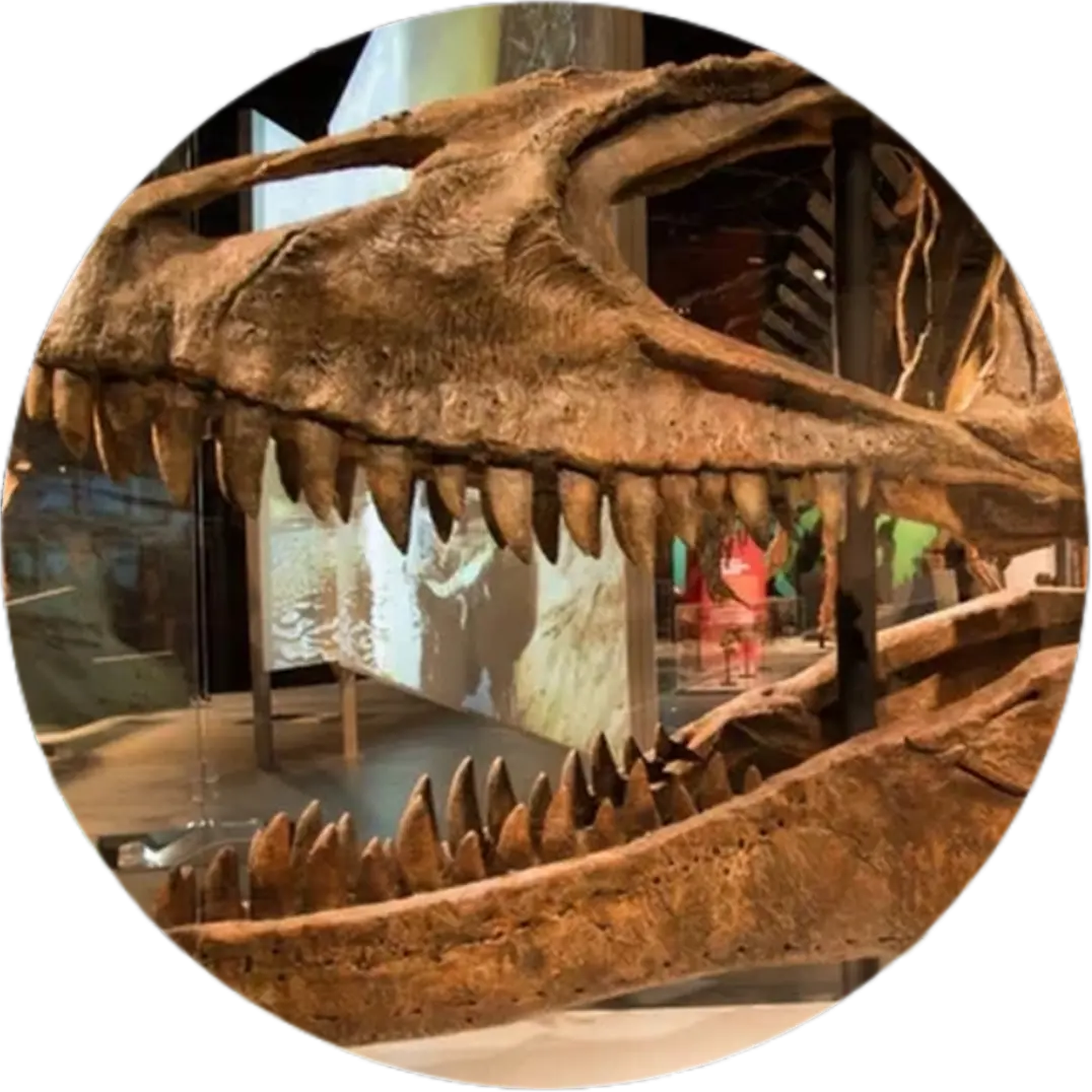 T-Rex1997의 티라노질라와친구들