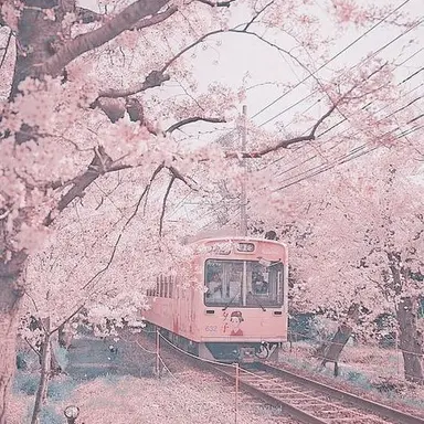 Profile image of 밥풀
