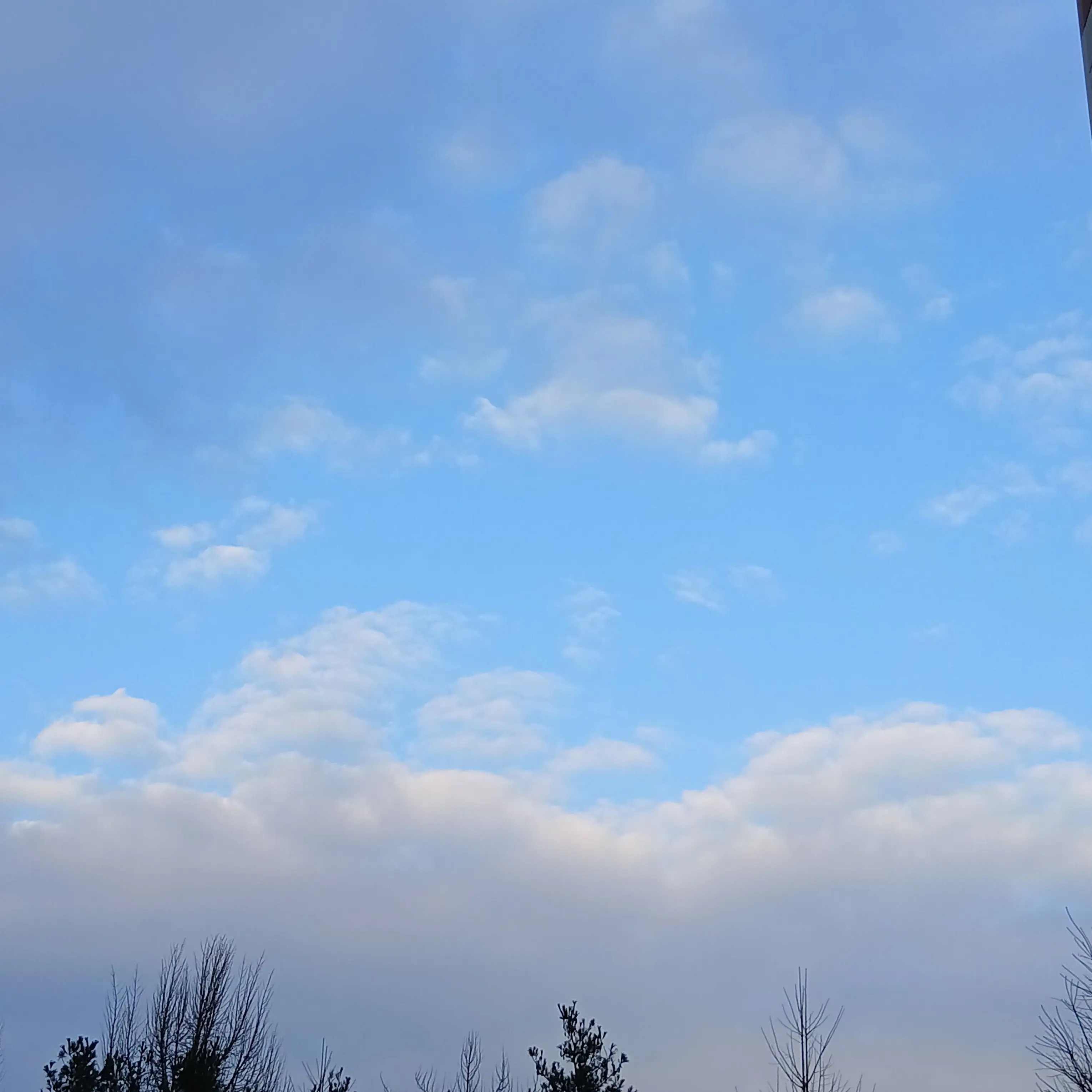 IronicPaper7200의 이헌