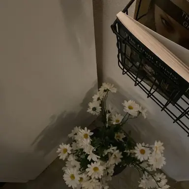 Profile image of 김준구