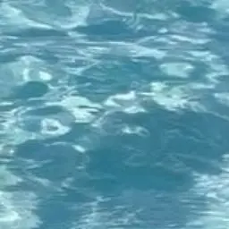 Profile image of 빡가 _ 쩡가