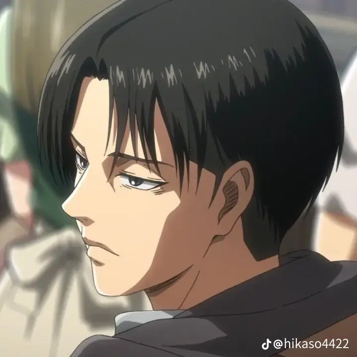 CloseOwl5205의 리바이 아커만