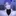 안시후