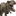 렉시