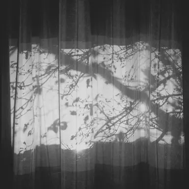 Profile image of 유음