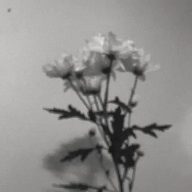 Profile image of 김민정