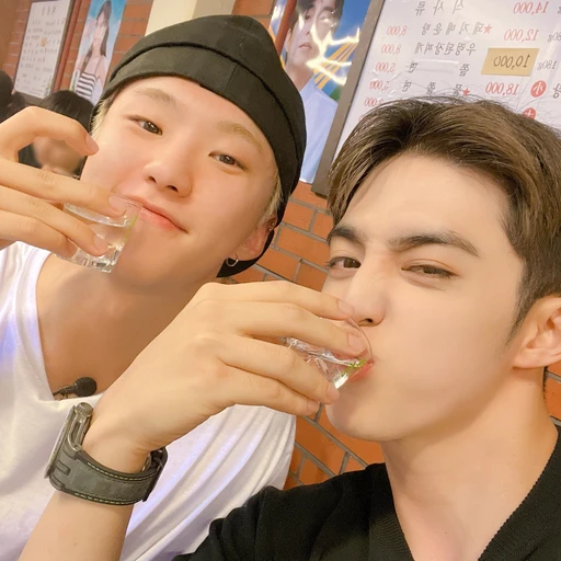 권순영 최승철