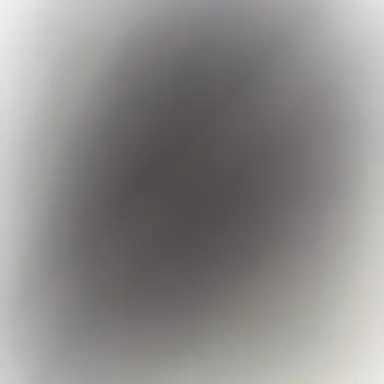 Profile image of 이새롬