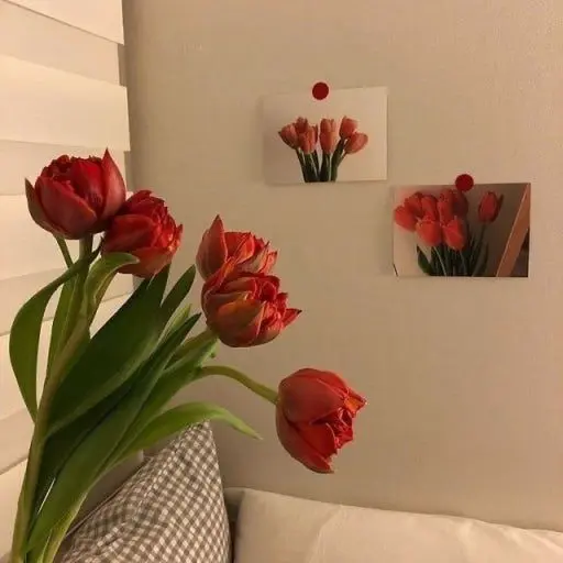 Cherry_soda.의 TRPG: 모시는 신이 바뀐다면?