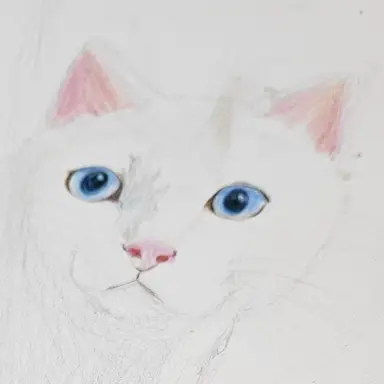 Profile image of 늑비