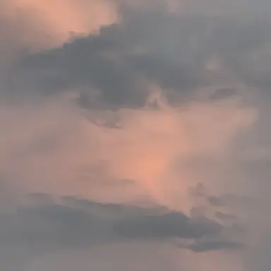 Profile image of ブリ子