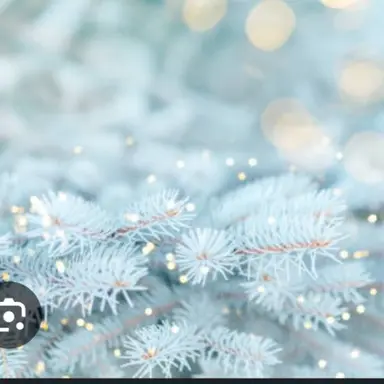 Profile image of 당신