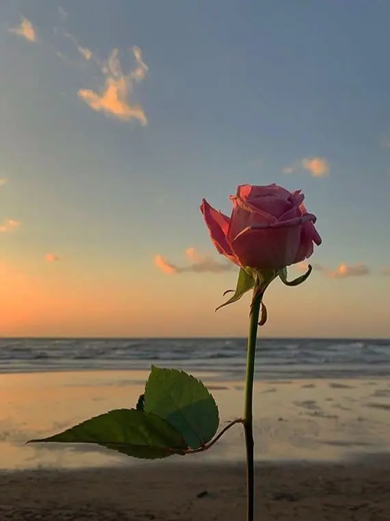 AfraidSaola7651의 ㅂㅎㅅ & ㄱㅈㄱ (ts)