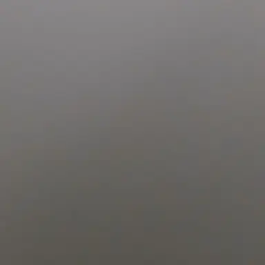 Profile image of 사회