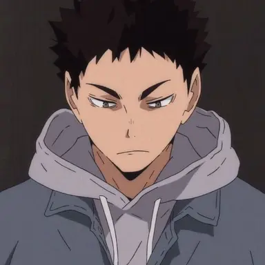 Profile image of Iwaizumi Hajime