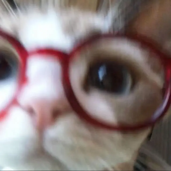 ExpertHeat9775의 우당탕 크루와 2박 3일 여행!