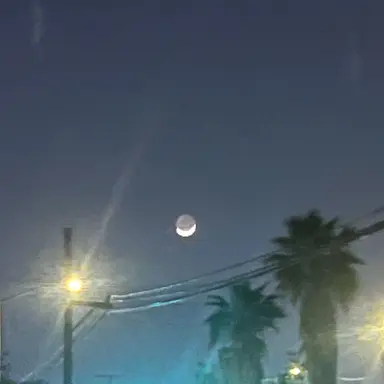 Profile image of Yuji