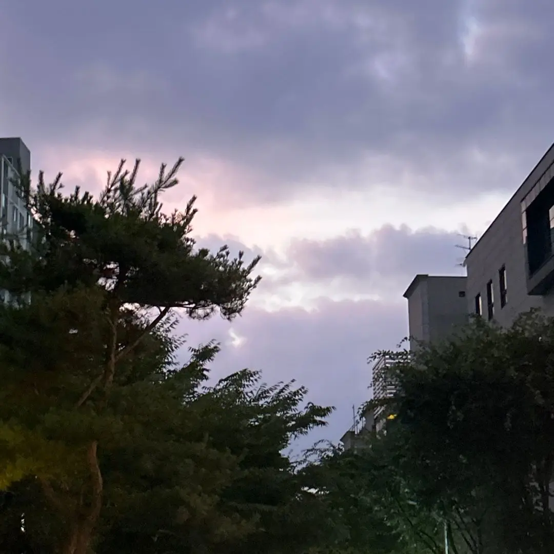 NiceBlade9266의 수학쌤 딸