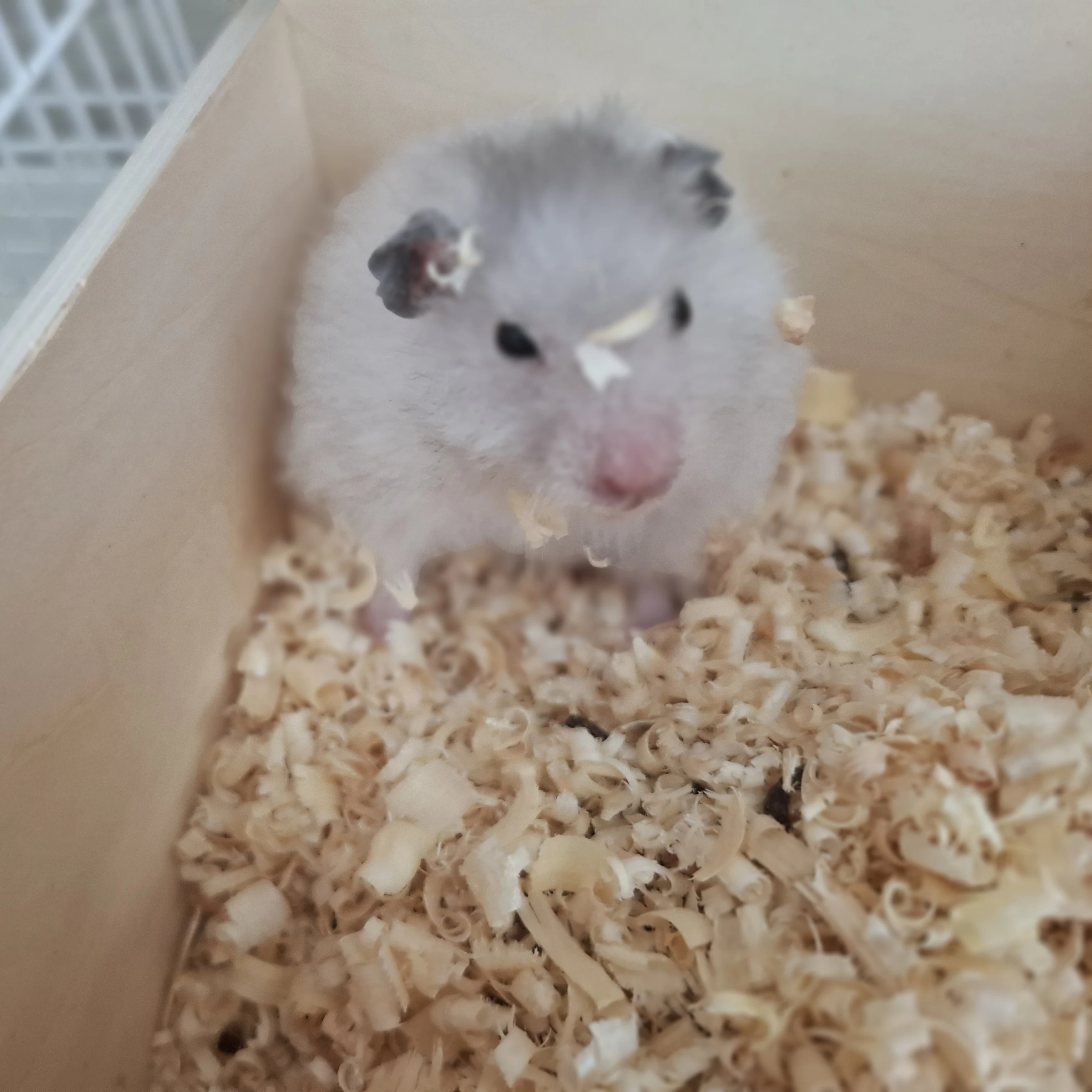 김재현