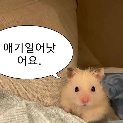 JB_15의 박소율