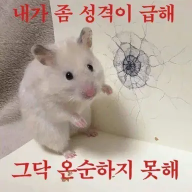 Profile image of 뜰팁
