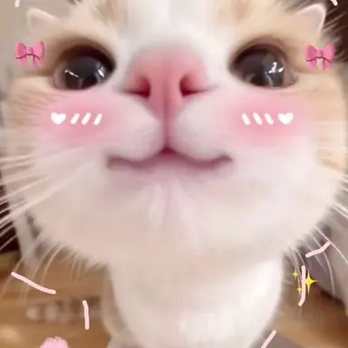 Profile image of 이영빈