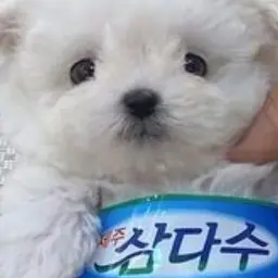 Profile image of 이진