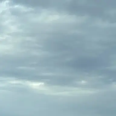 Profile image of 死神