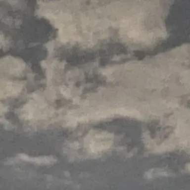 Profile image of 竜