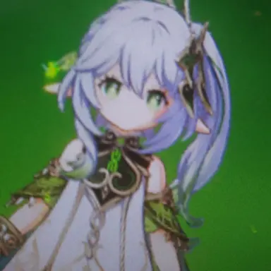 Profile image of 나히다