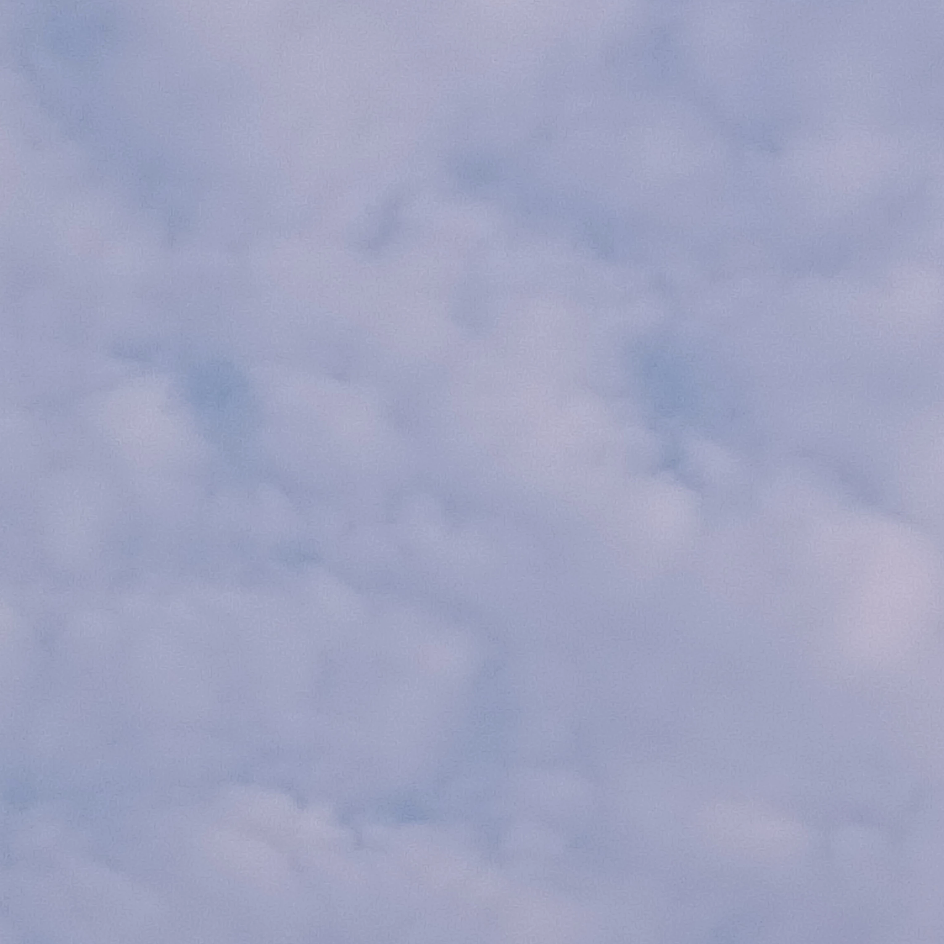 공지문