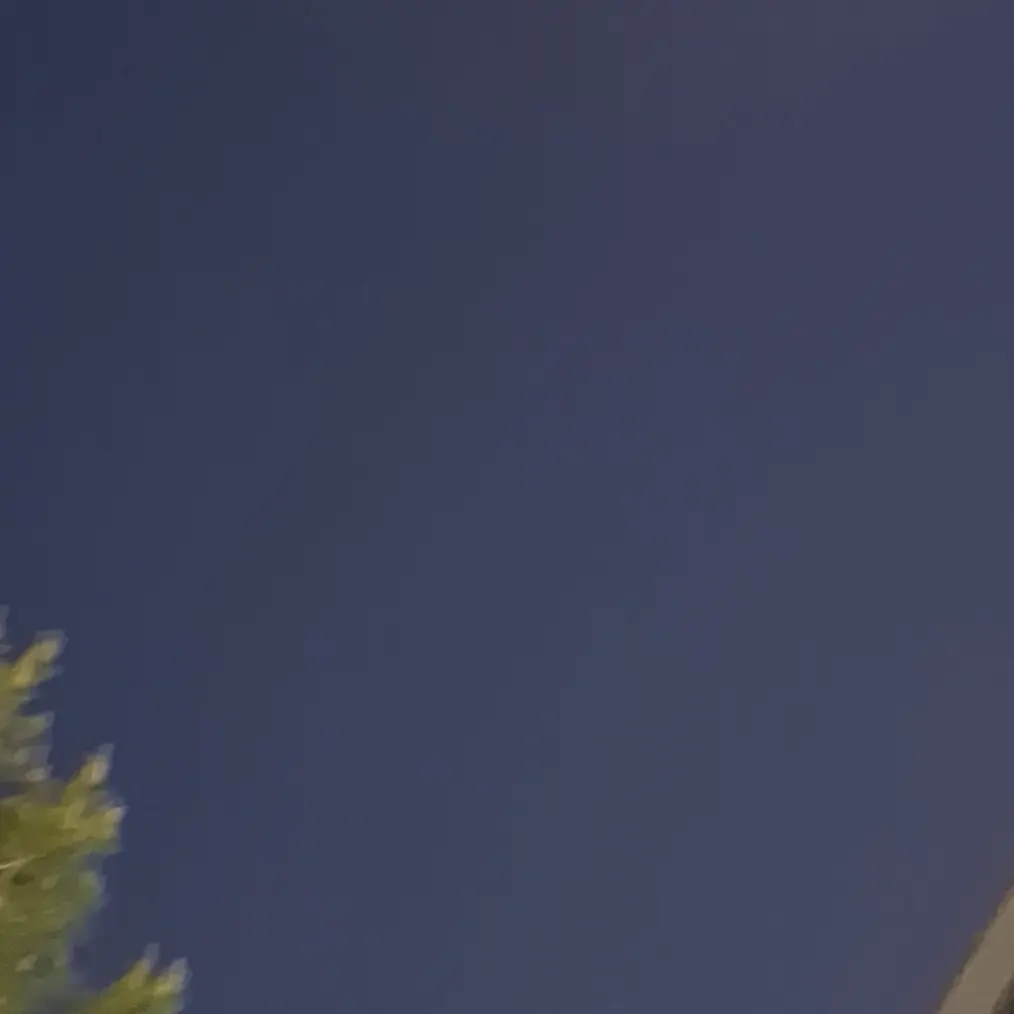 HandyLabel2848의 임하빈 임지성 김현우의 여사친