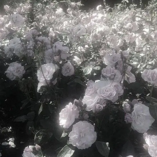 nk_hs의 ˙˚ʚ✞ɞ˚˙