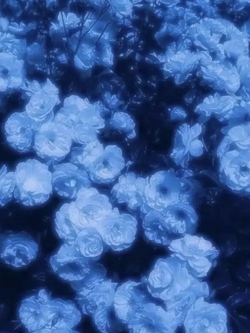 secret_account-011의 平和主義者